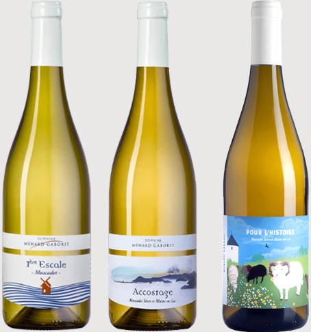 Muscadet Sèvre et Maine 